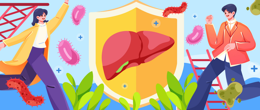 摄图网_402501494_wx_肝炎日保护肝脏插画banner（企业商用）.jpg